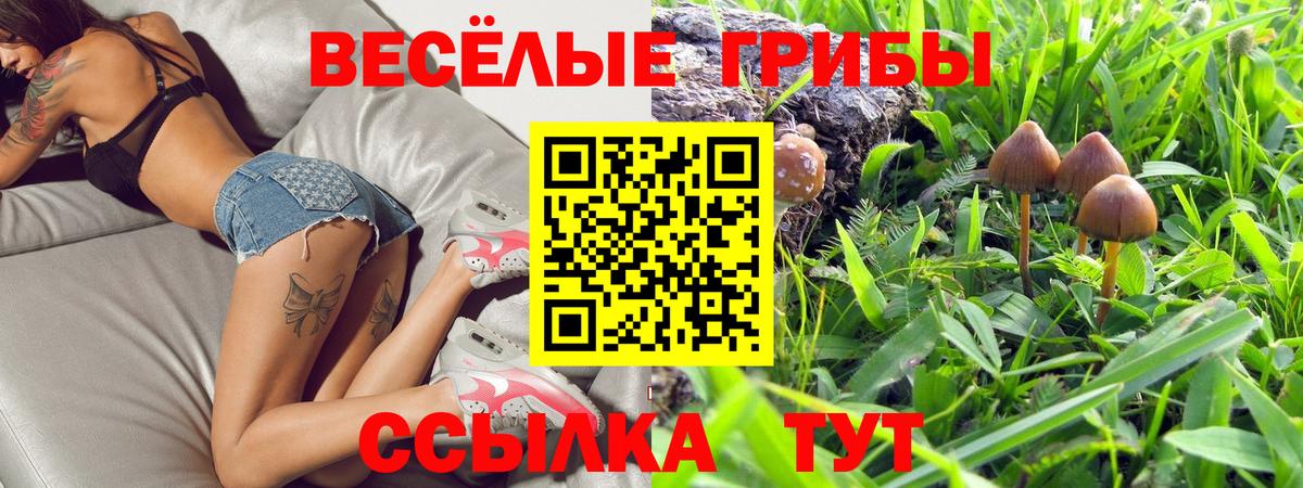 Псилоцибиновые грибы MAGIC MUSHROOMS  Галлюциногенные грибы MAGIC MUSHROOMS  Бузулук  Вход с VPN 
